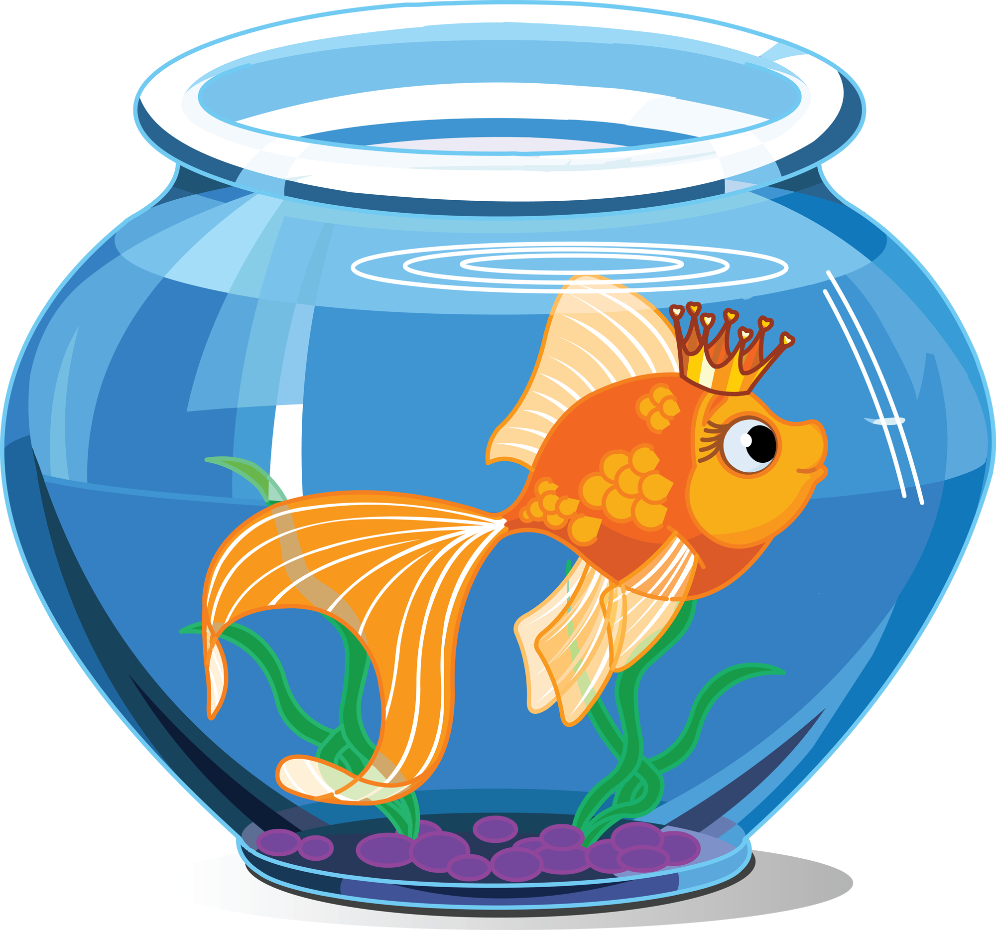Fish Inside The Aquarium (2000x1867)