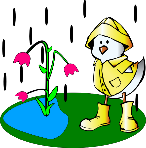 Ducks In Rain Boots (588x598)