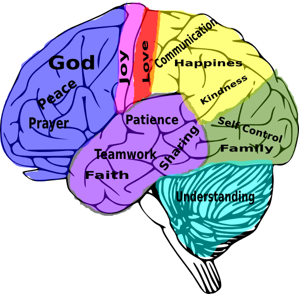 Art Good For The Brain (600x590)