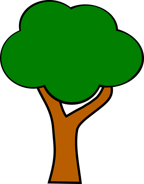 Apple Tree Without Apples (564x720)