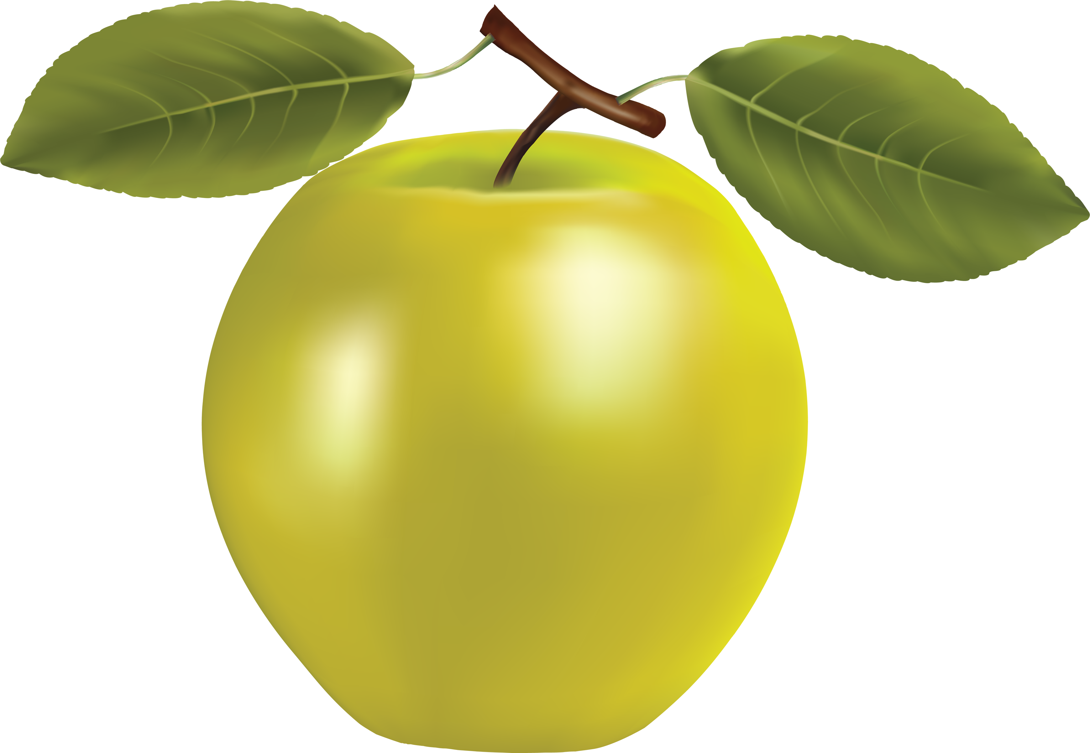 Yellow Apple Clipart Clipart Panda - All Kinds Of Fruits (3478x2404)