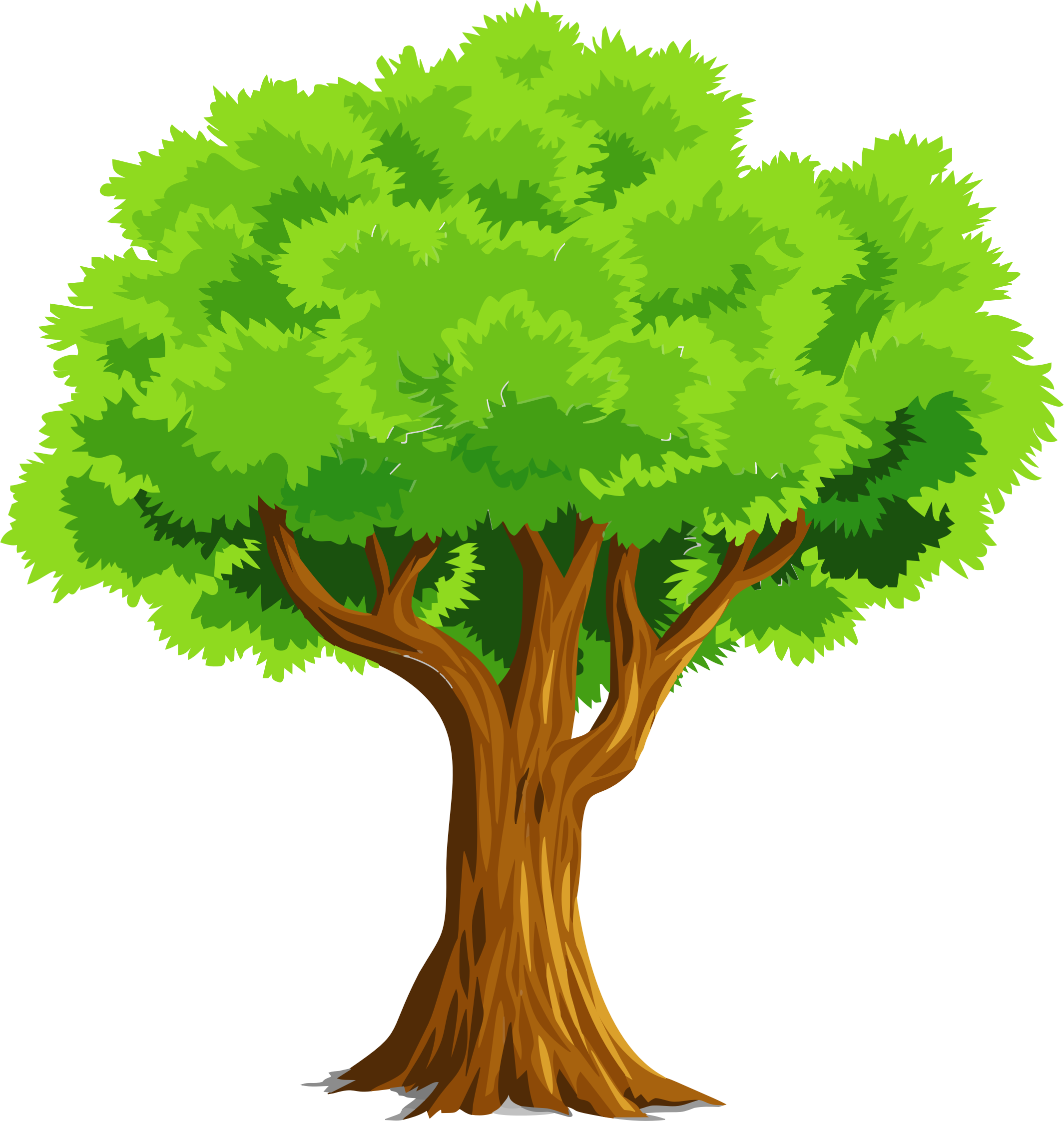 Tree Images Free - Tree Clipart (712x750)