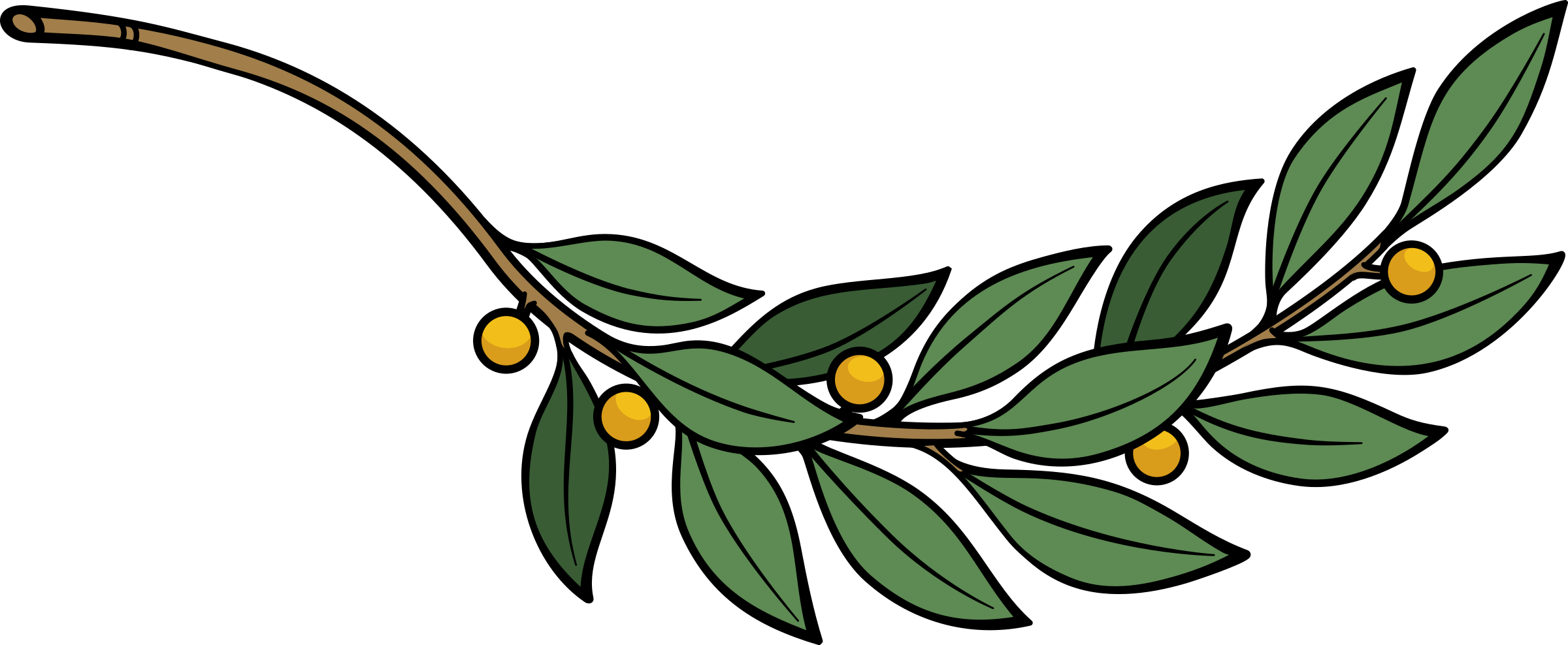 Big Image - Laurel Branch (2400x988)