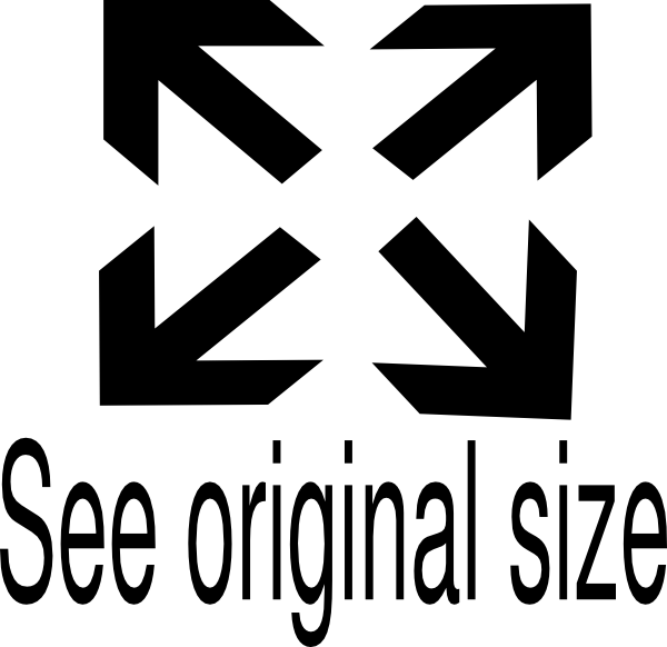 Same As Original Size Icon (600x582)