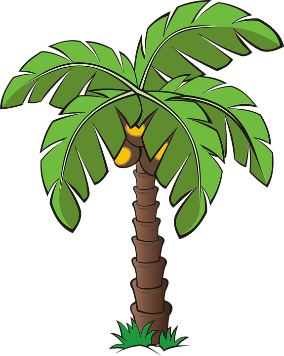 Tree (575x720)
