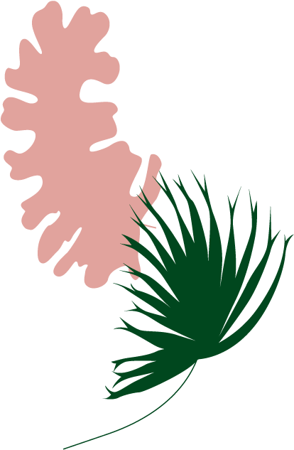 Another Palm Tree Piece As Decorative - Palm Trees (419x646)
