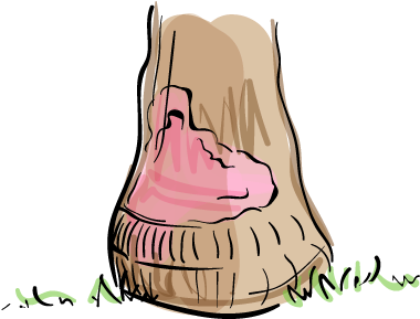 Pink Rot - Illustration (400x310)