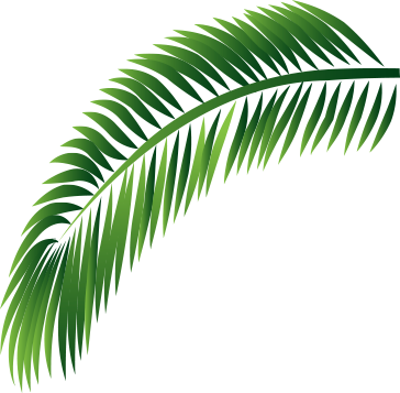 Decorative Leaf - Leaf (364x357)