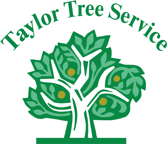 Taylor Tree Service - Wonderful Poetic Book [book] (600x530)