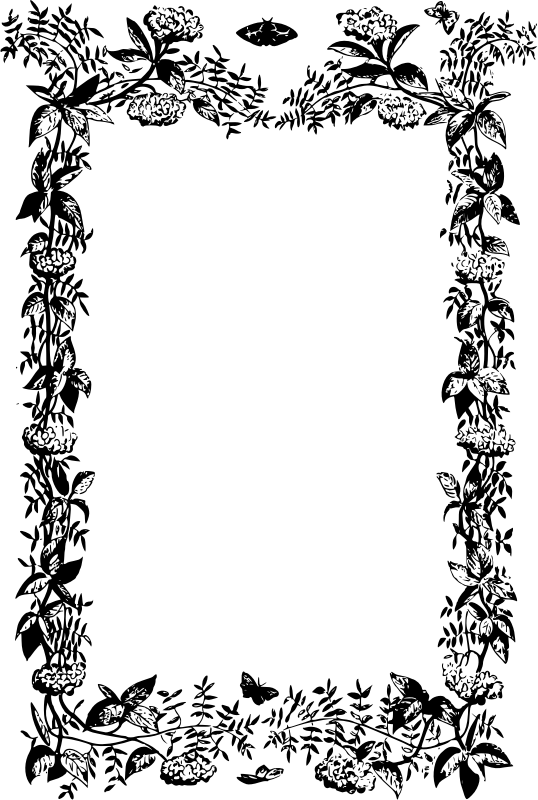 Medium Image - Portable Network Graphics (538x800)