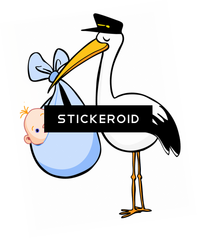 Stork Animals - Stork Animals (655x791)