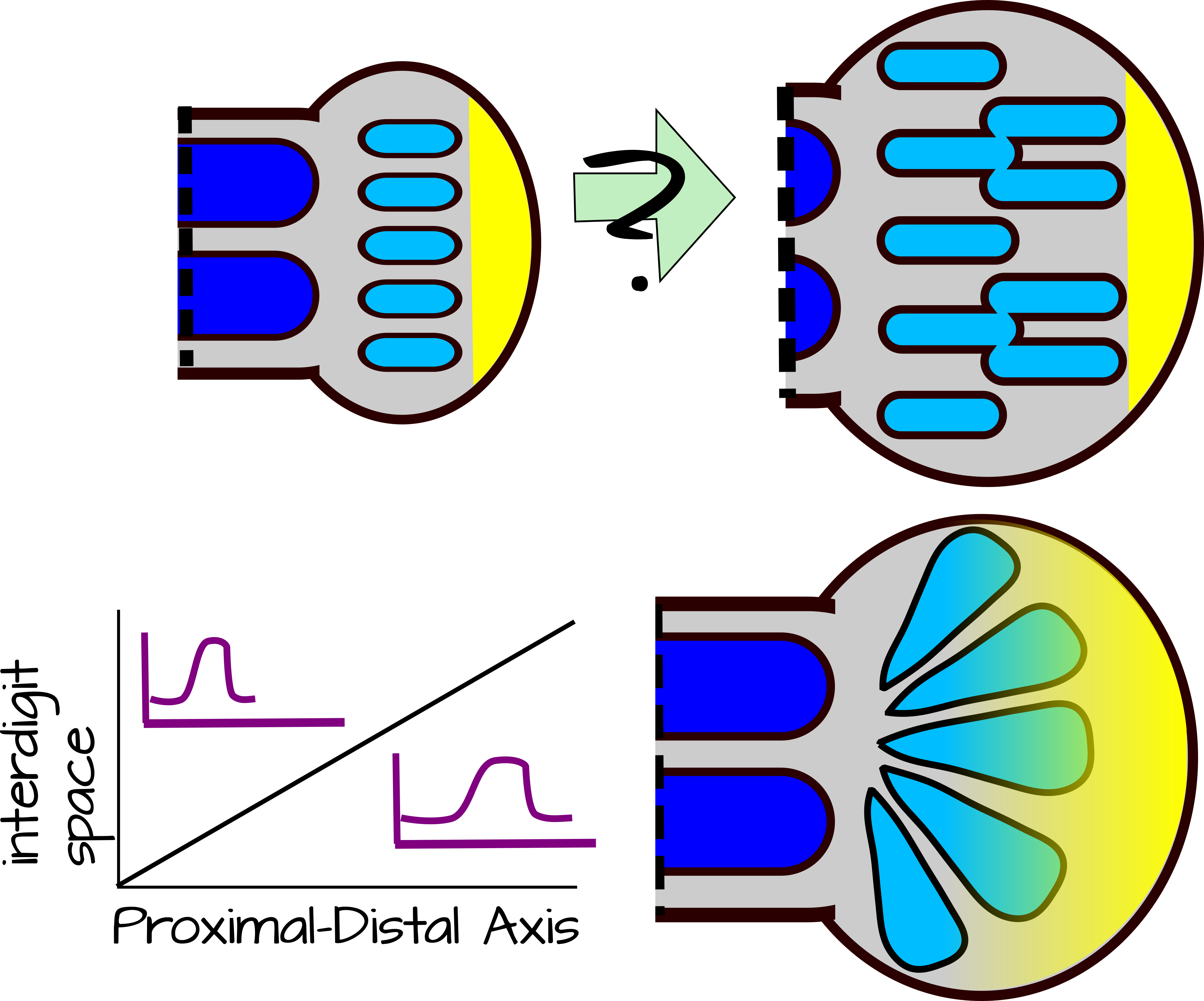 Modifying The Wavelength - Modifying The Wavelength (4430x3681)