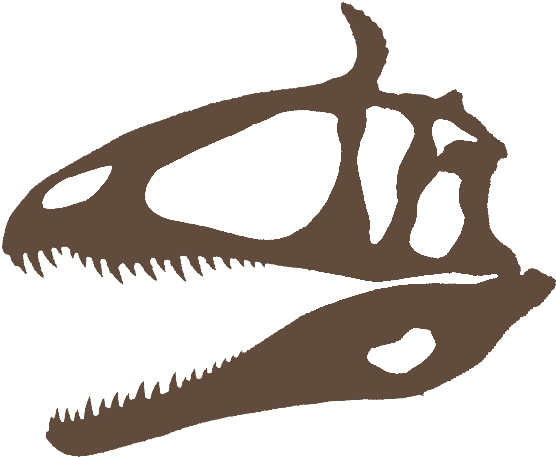 Specimen Available - Specimen Available (600x600)