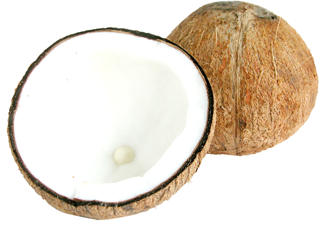 Two Half Coconuts Png - Two Half Coconuts Png (1322x942)