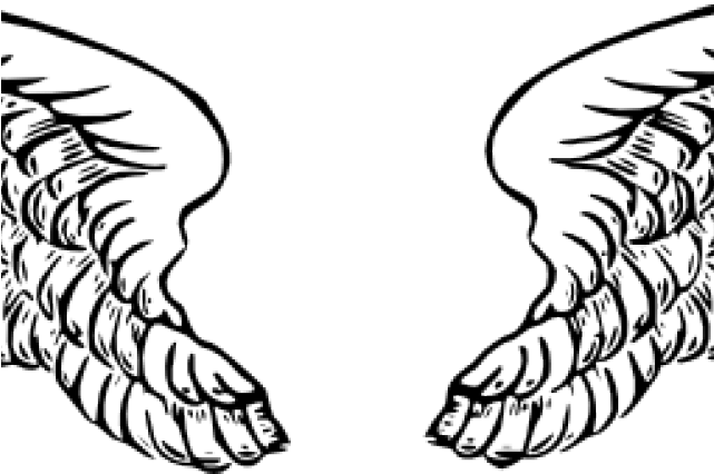 Wings Clipart Vector - Wings Clipart Vector (640x480)