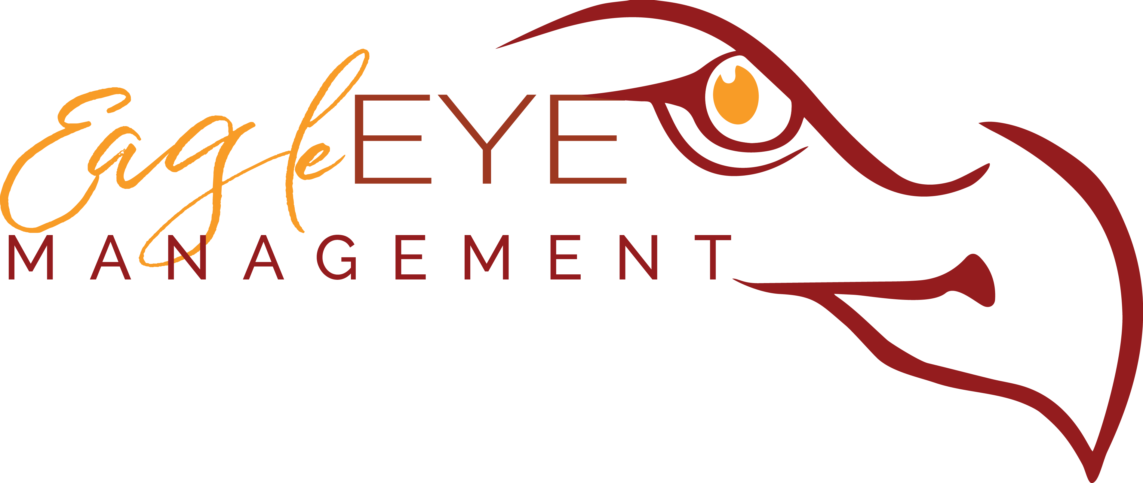 Eagle Eye Management, Llc - Eagle Eye Management, Llc (3801x1609)