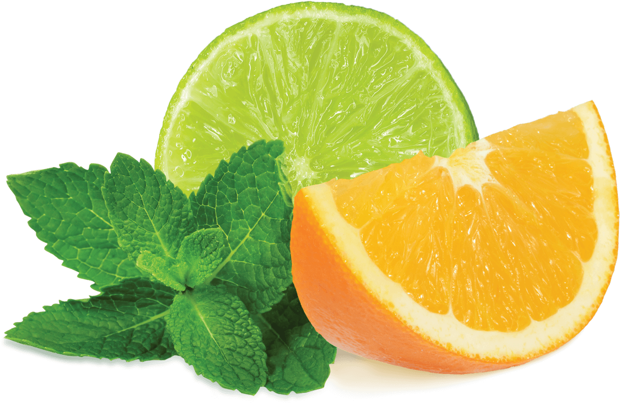 Mint Transparent - Mint Transparent (1500x1500)