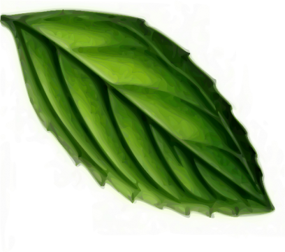 Mint High Quality - Mint High Quality (408x360)
