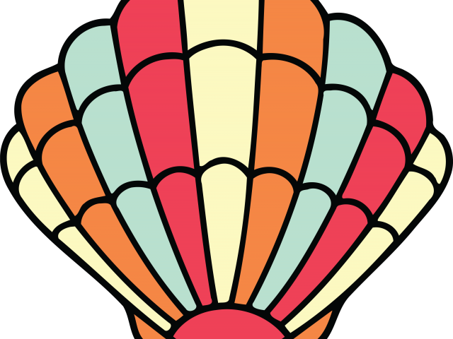 Shell Clipart - Shell Clipart (640x480)