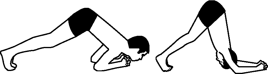Dolphin Stretch - Dolphin Stretch (882x246)