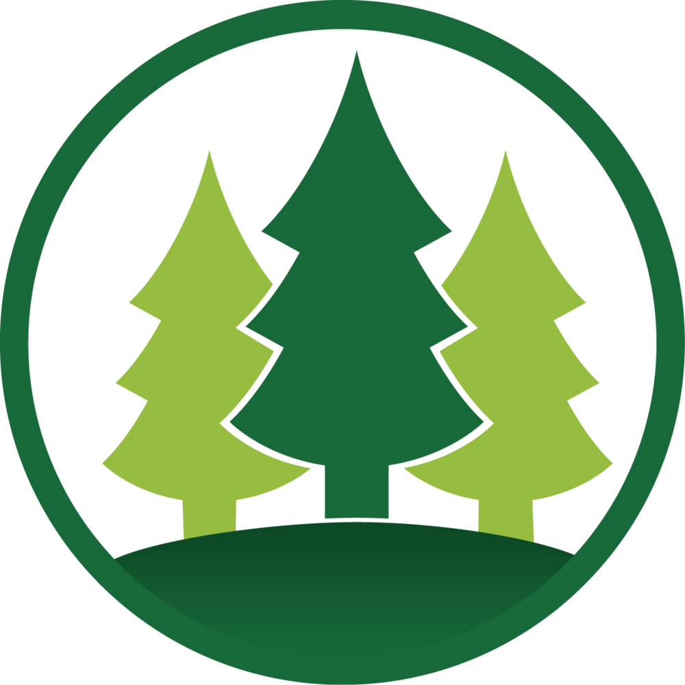 Pine Tree Clipart Camp - Pine Tree Clipart Camp (1000x1000)