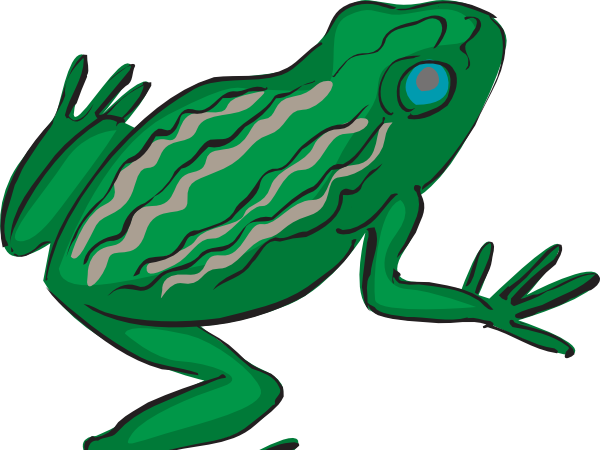 Frog T Chart - Frog T Chart (600x450)