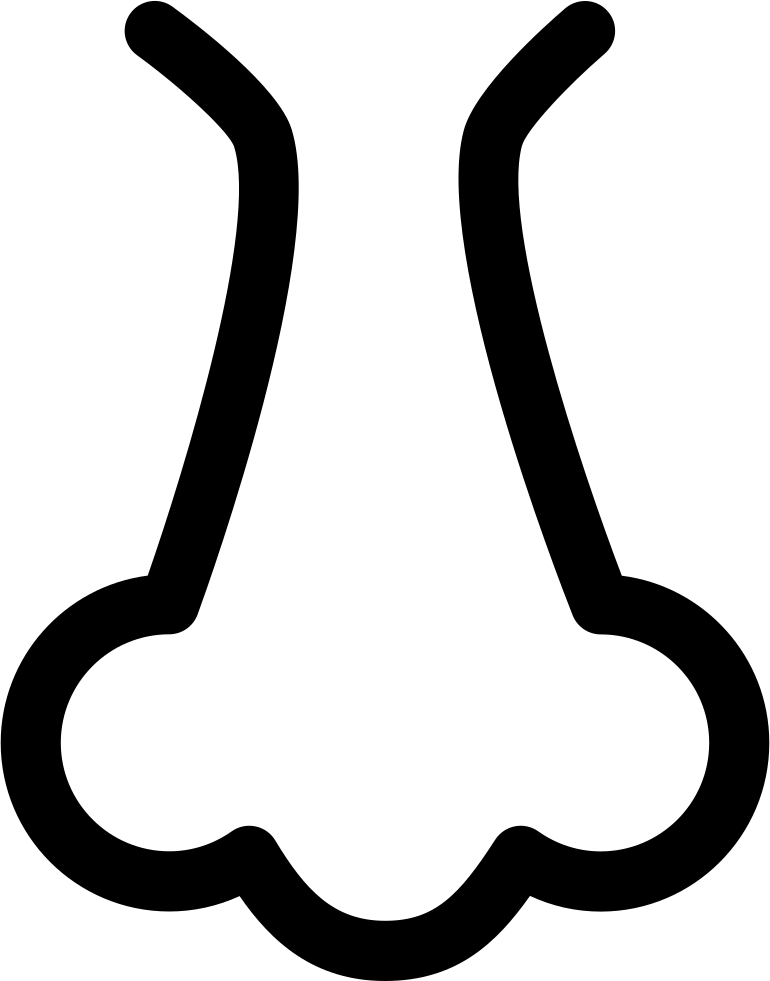 Nose Outline Comments - Nose Outline Comments (770x981)