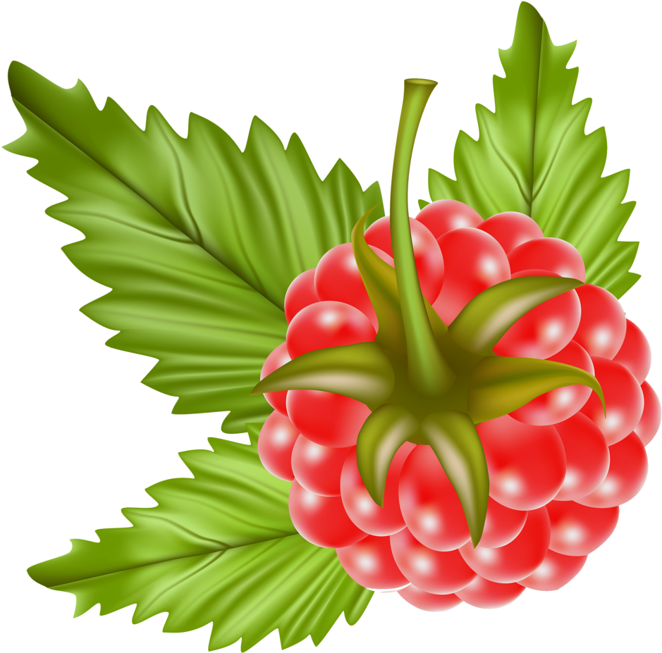 Red Raspberry - Red Raspberry (1280x1096)