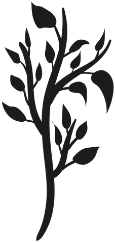 Tree Trunk With Branches - Tree Trunk With Branches (512x512)