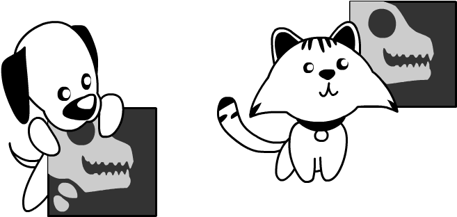 Pet Surgery - Pet Surgery (720x576)
