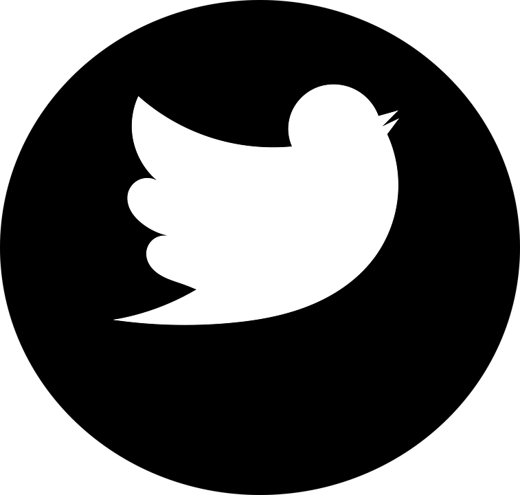 Twitter-719092 960 - Twitter-719092 960 (757x720)