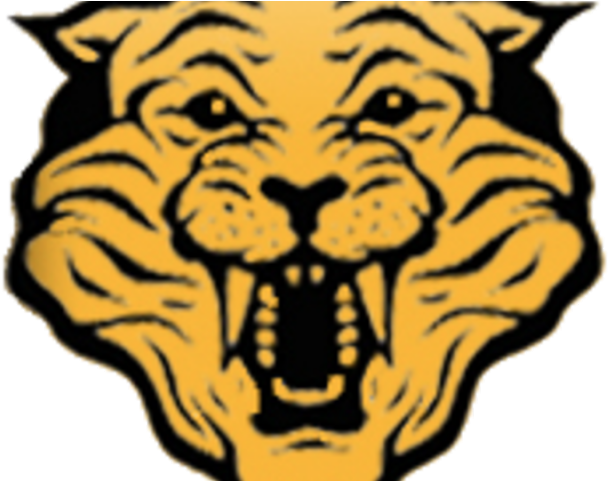 Wildcat Clipart Rc Controller - Wildcat Clipart Rc Controller (640x480)