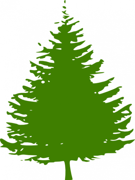 Redwood Vector - Redwood Vector (450x601)
