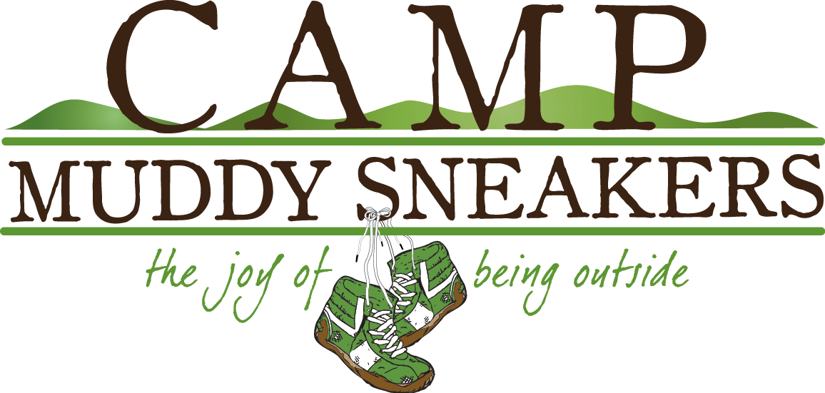 Camp Ms Logo - Camp Ms Logo (1156x551)