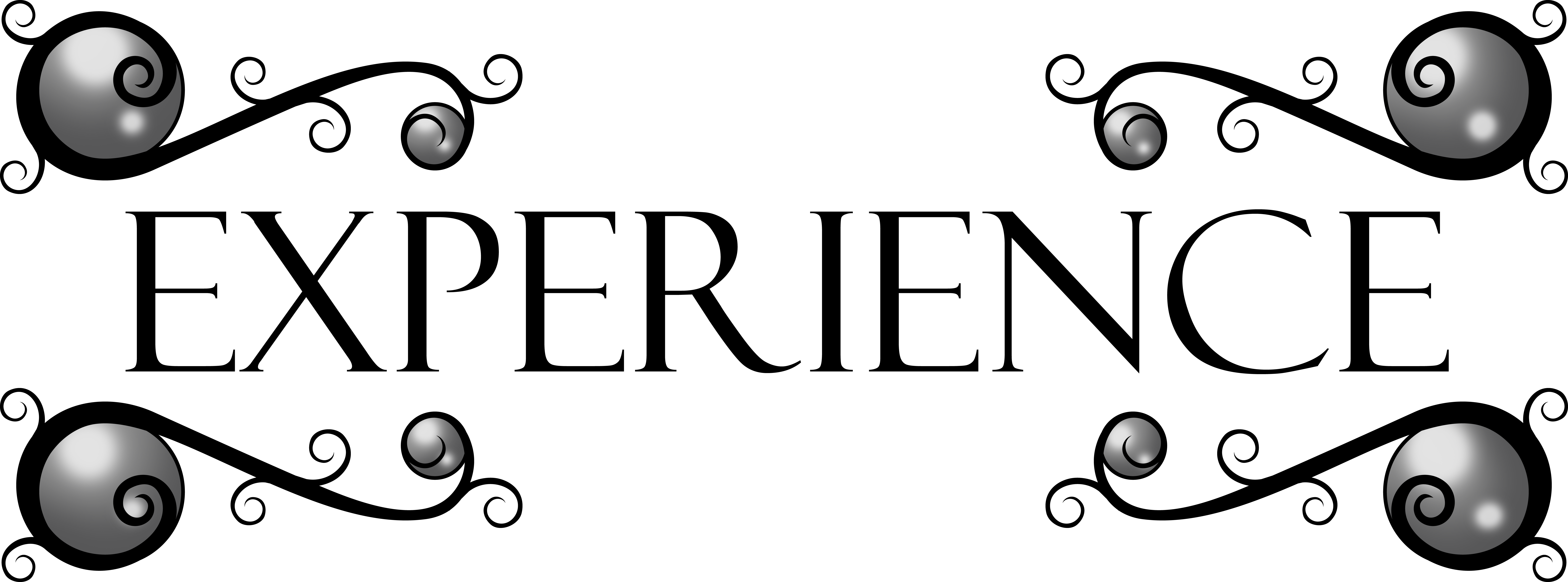 Work Experience - Work Experience (8814x3273)