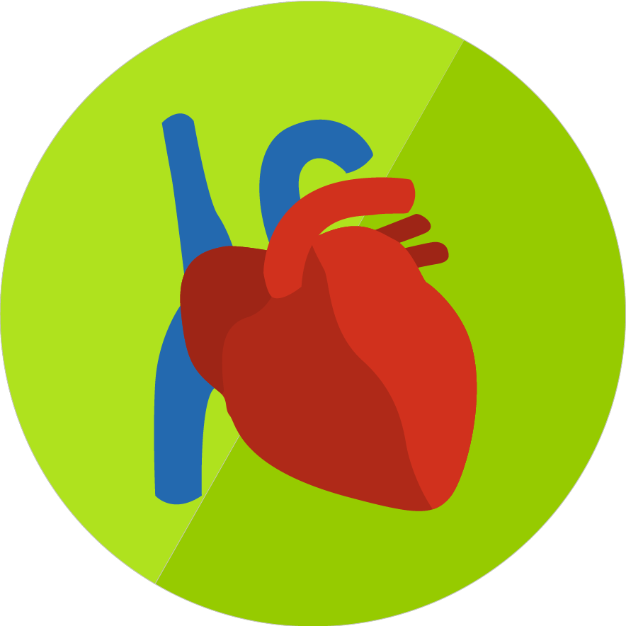 Lesson Icon - Lesson Icon (884x884)