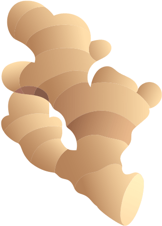 Ginger - Ginger (600x600)