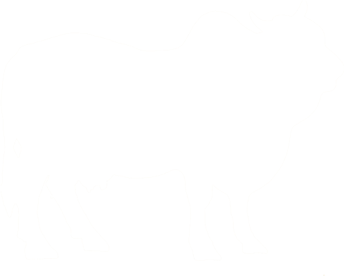 High Quality - High Quality (558x495)