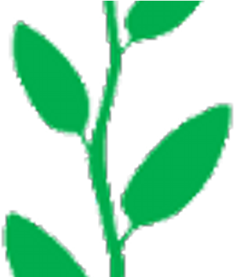 Tea Leaf - Tea Leaf (400x400)