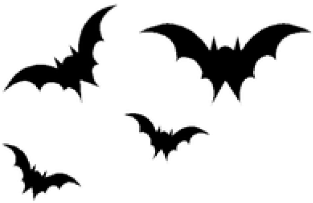 Bat Clipart Frame - Bat Clipart Frame (640x480)