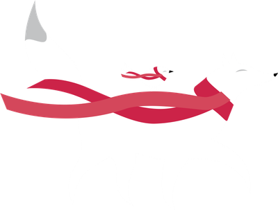 Fox And Bird - Fox And Bird (400x303)