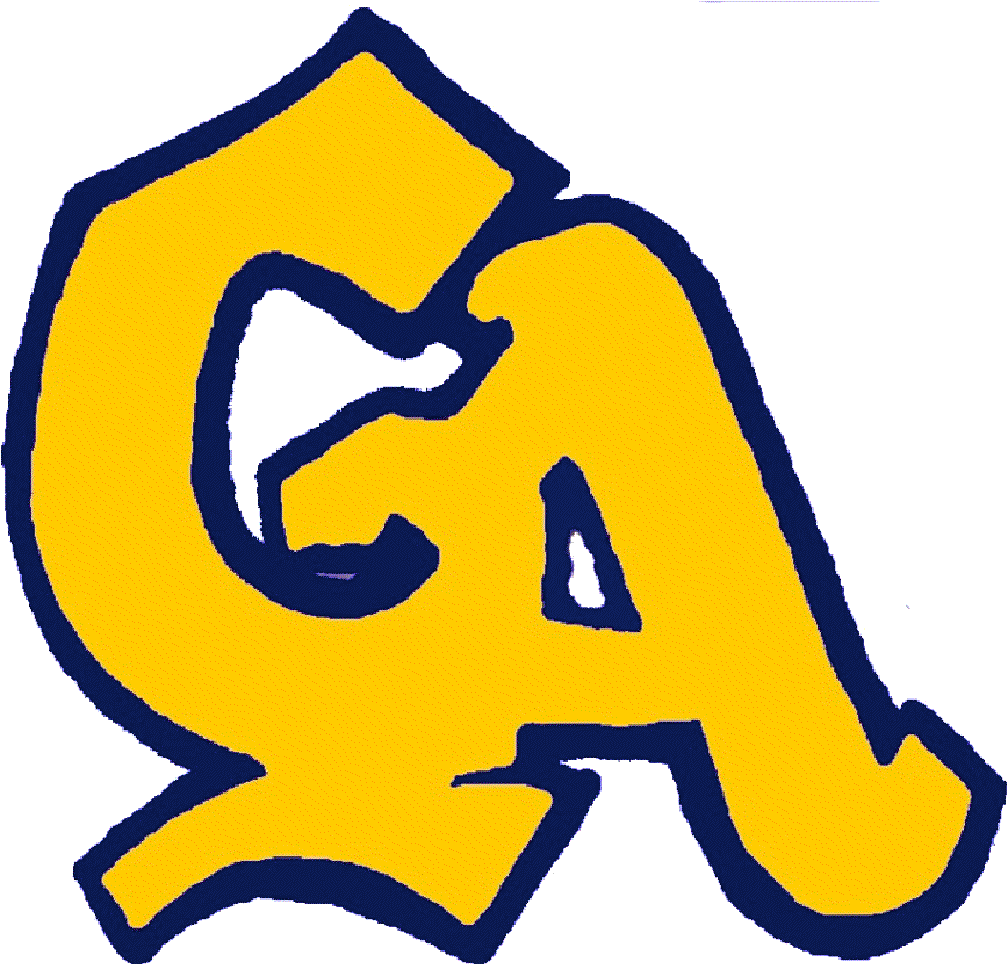 Greencastle Antrim Blue Devils (1020x963)