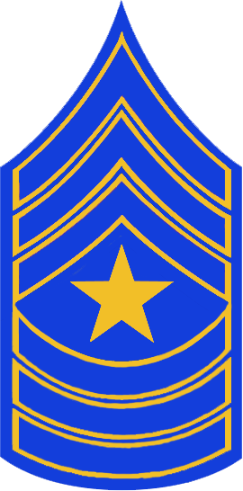 Sp Sergeant Major Stripes - Sp Sergeant Major Stripes (270x546)