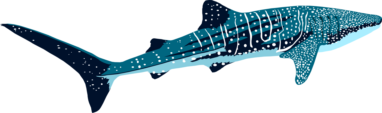 This Image Has Been Resized - This Image Has Been Resized (1572x466)