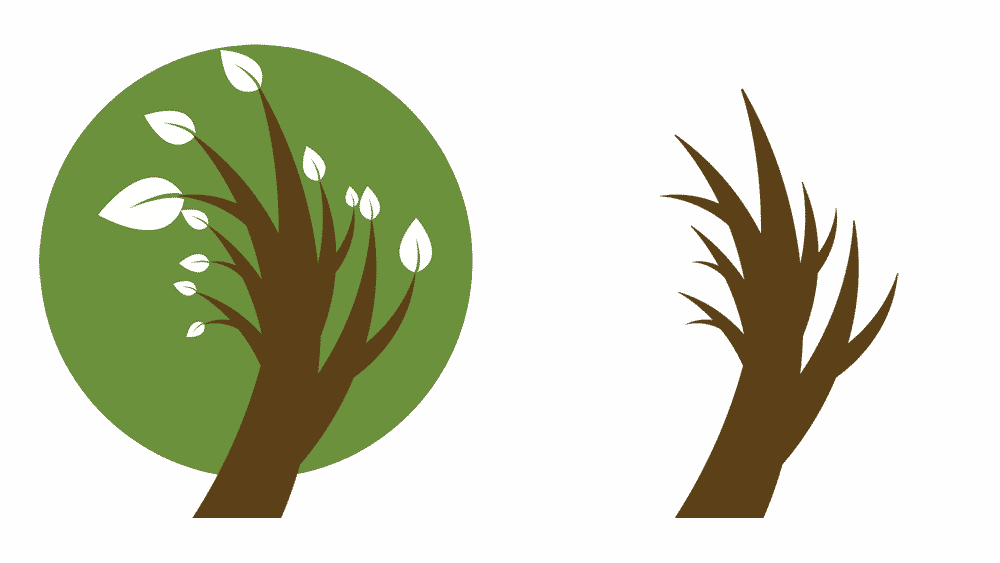 Crown Cleaning - Crown Cleaning (1000x563)