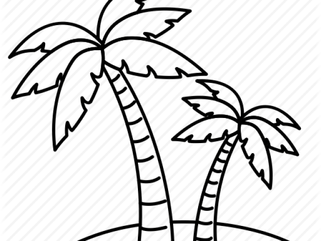 Drawn Palm Tree Line - Drawn Palm Tree Line (640x480)