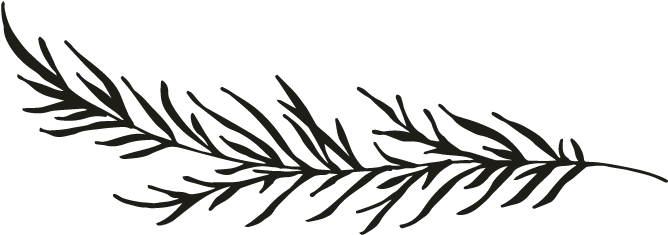 Branch - Branch (696x696)