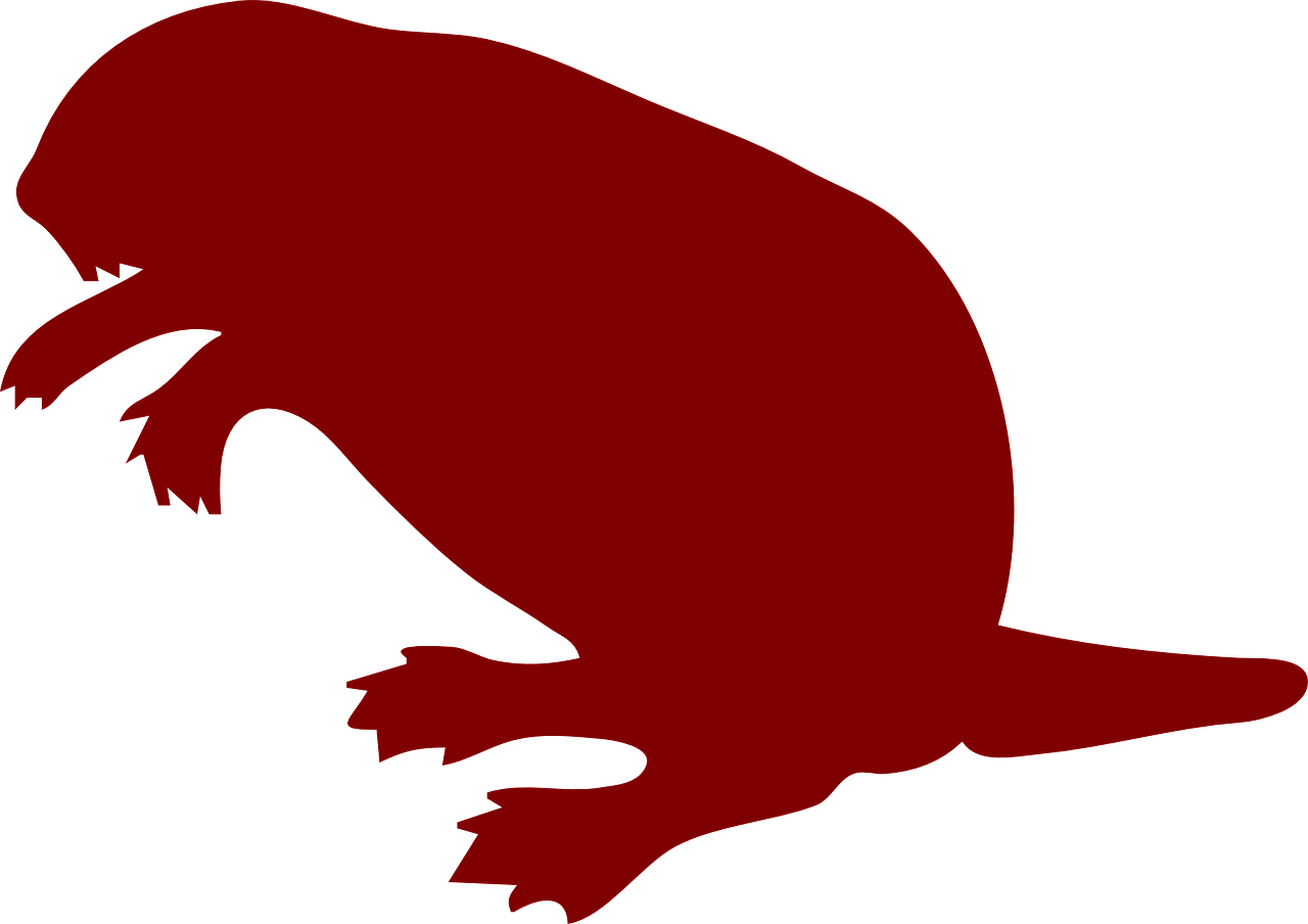 Free Forest Animal Clip Art (1280x904)