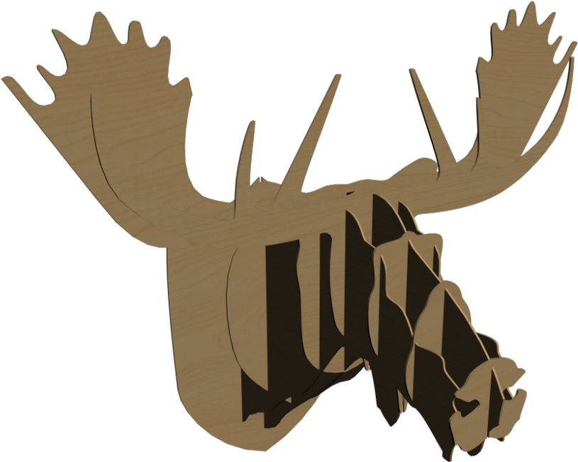 Moose With A Moustache - Moose With A Moustache (1000x1000)