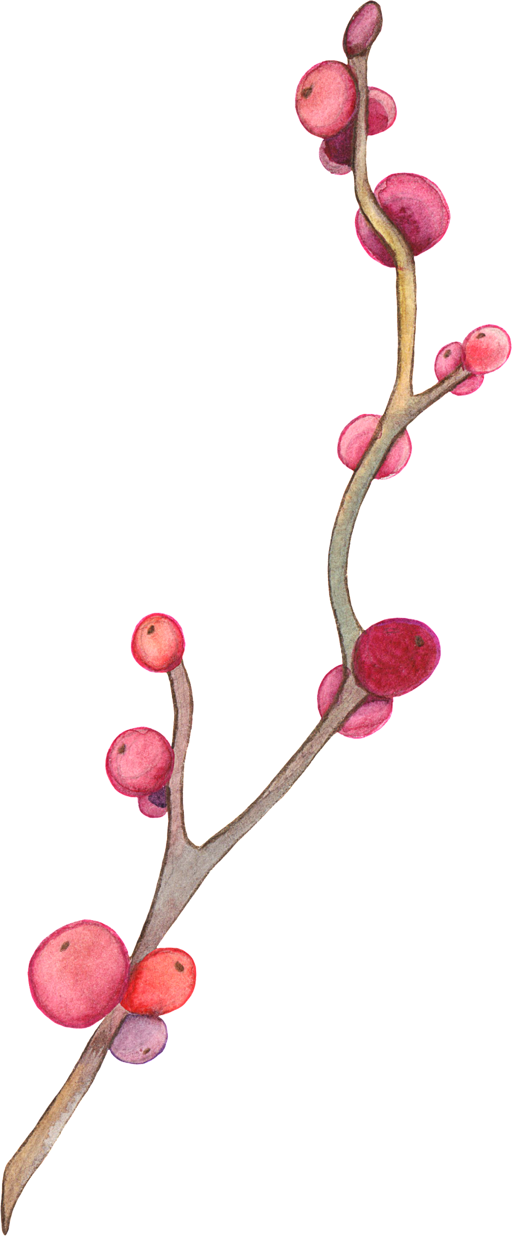 Branch - Branch (1024x2473)